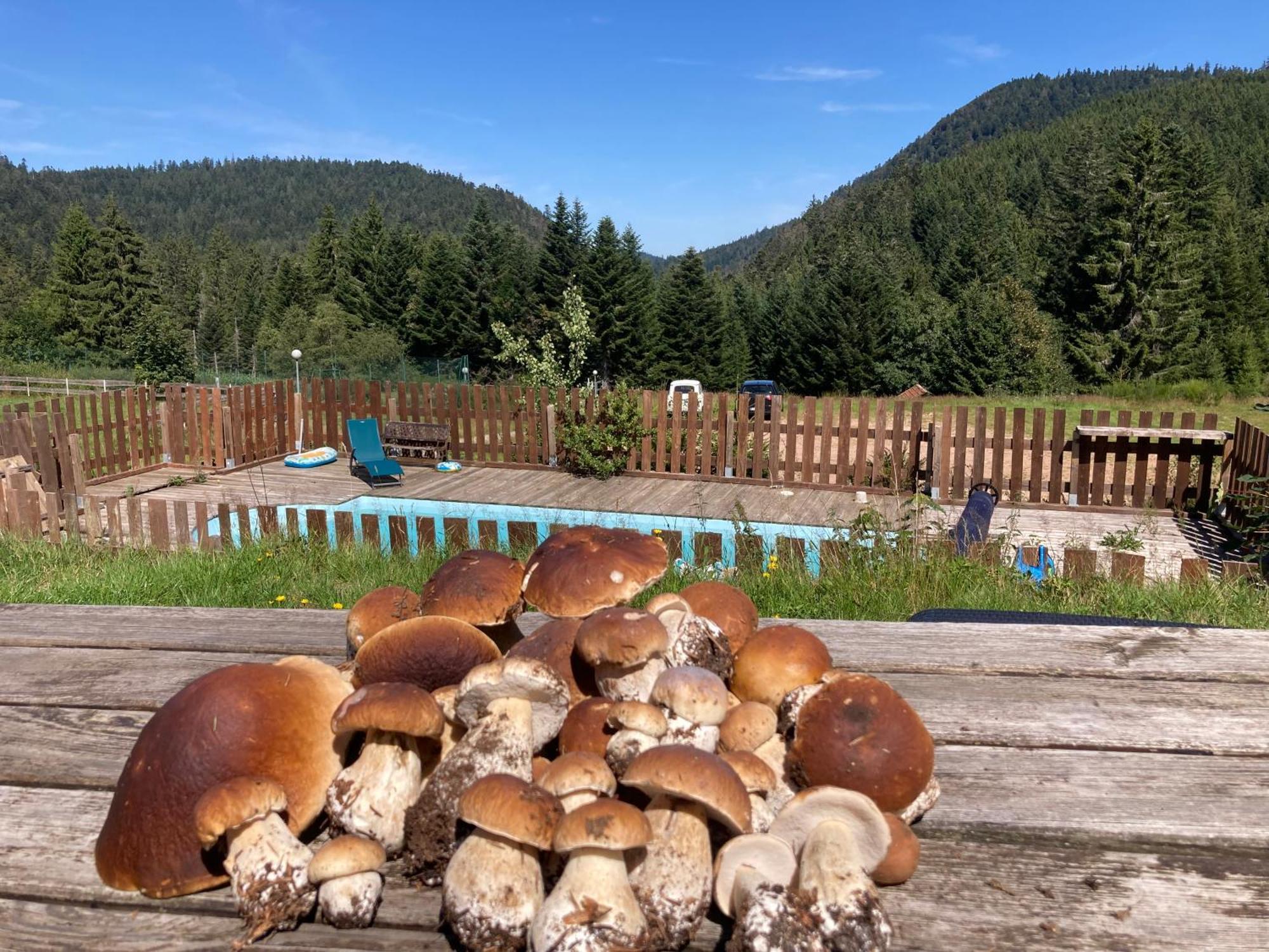 Le Perchoir, Gite 7 Personnes, Le Grand Valtin Ban-sur-Meurthe-Clefcy Luaran gambar