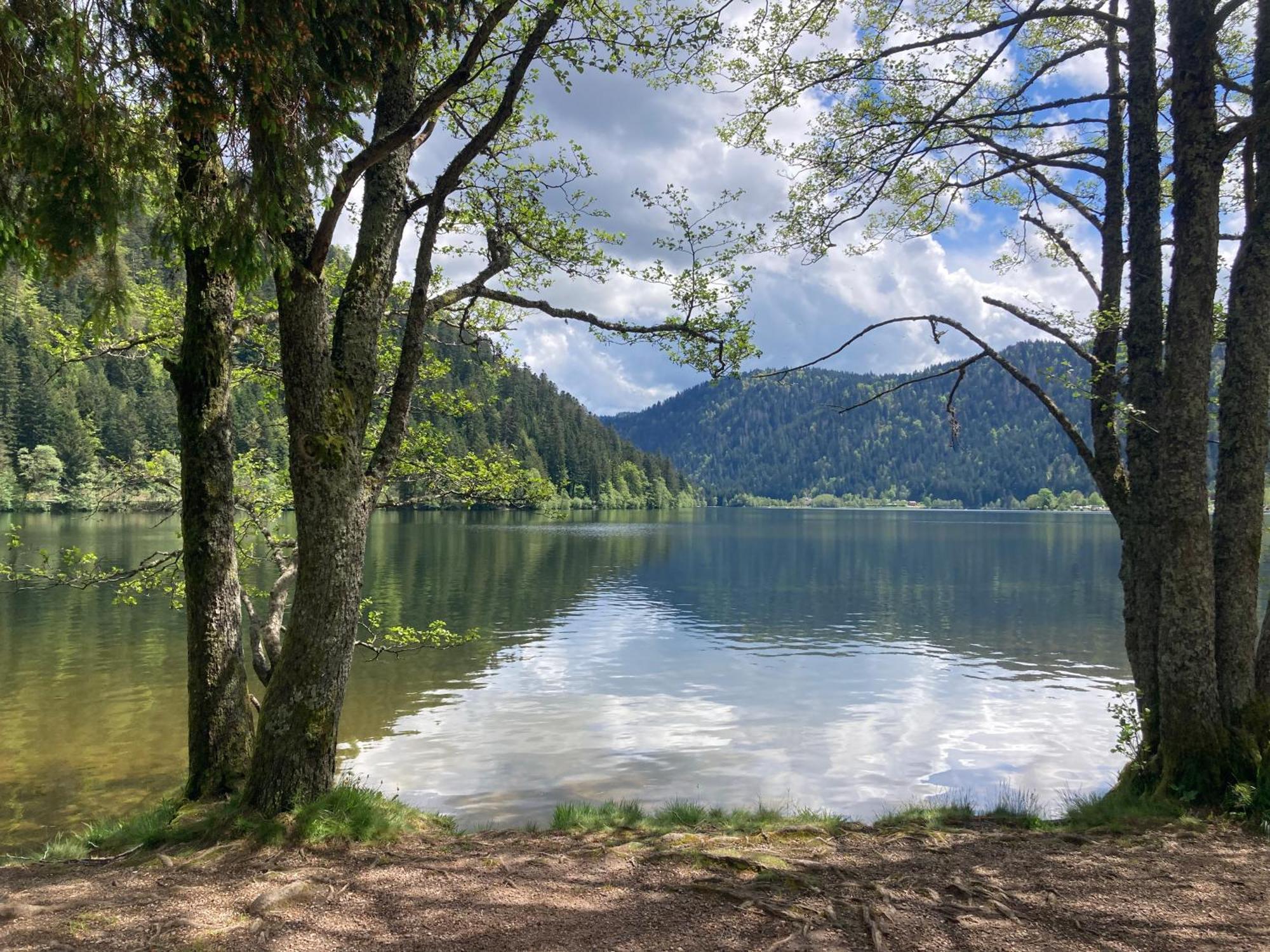 Le Perchoir, Gite 7 Personnes, Le Grand Valtin Ban-sur-Meurthe-Clefcy Luaran gambar